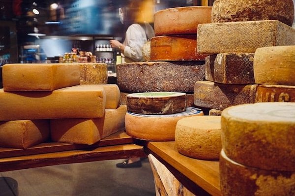 Comment organiser des vacances dans une ferme en Auvergne pour découvrir la fabrication du fromage?